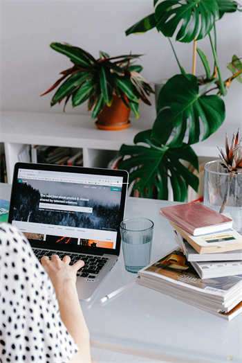 养角蛙超实用技巧,跟我一起学怎么养好这些小可爱吧! 第1张 养角蛙超实用技巧,跟我一起学怎么养好这些小可爱吧! 第1张